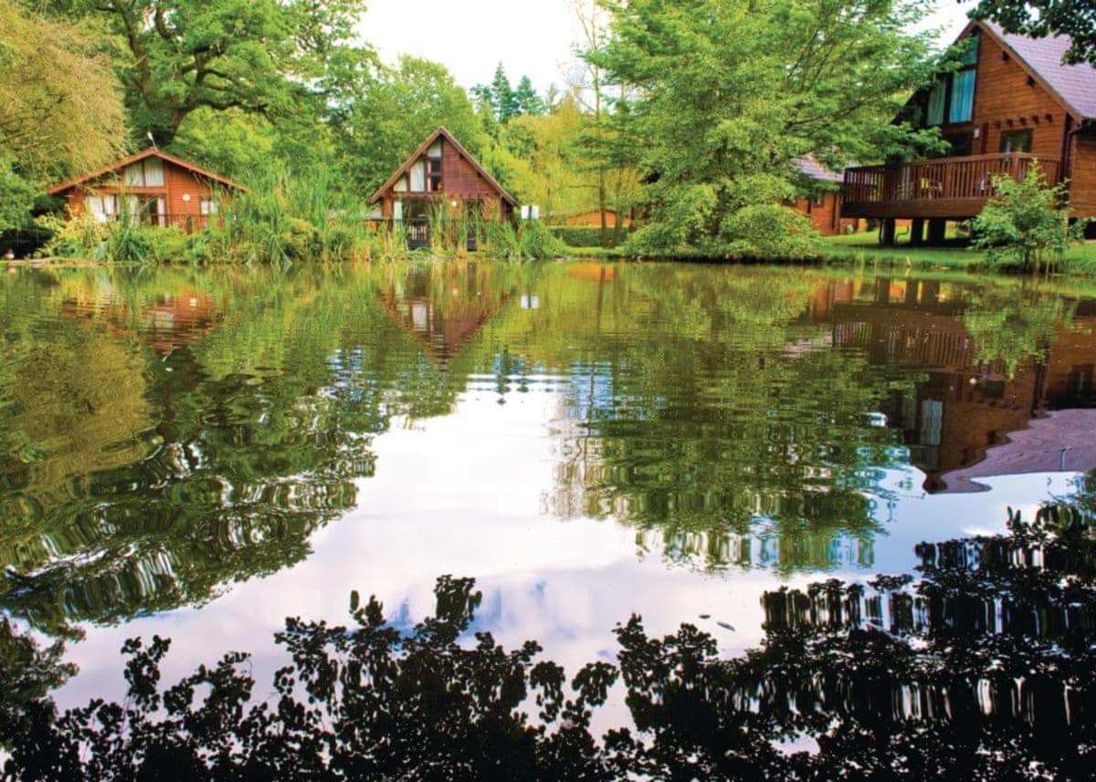 Whitemead Forest Park Hotell Parkend Eksteriør bilde