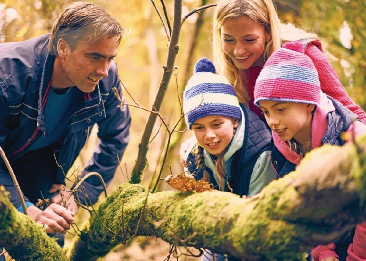 Whitemead Forest Park Hotell Parkend Eksteriør bilde