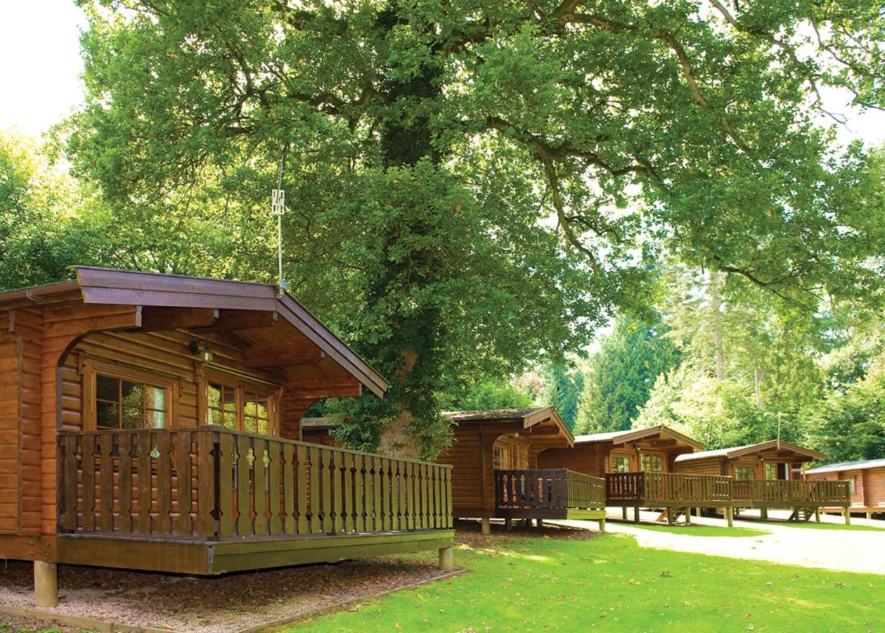Whitemead Forest Park Hotell Parkend Eksteriør bilde