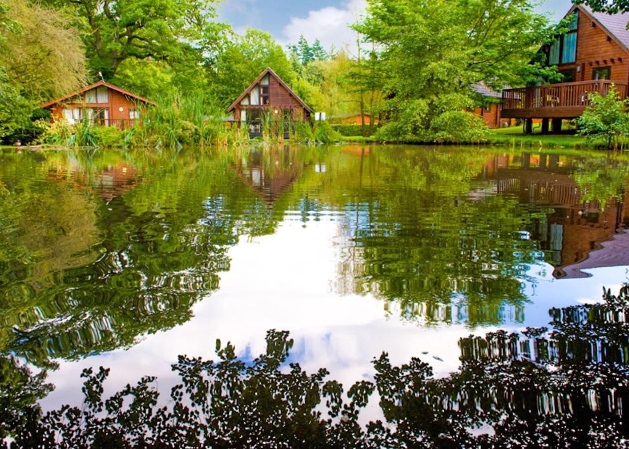 Whitemead Forest Park Hotell Parkend Eksteriør bilde